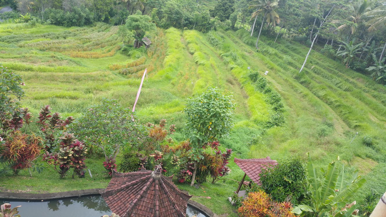 20160208 142936 (2016 10 02 16 07 39 UTC)